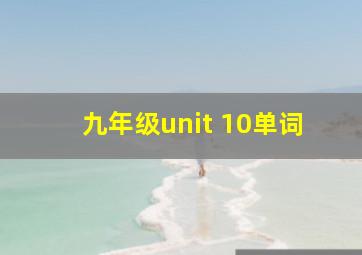 九年级unit 10单词